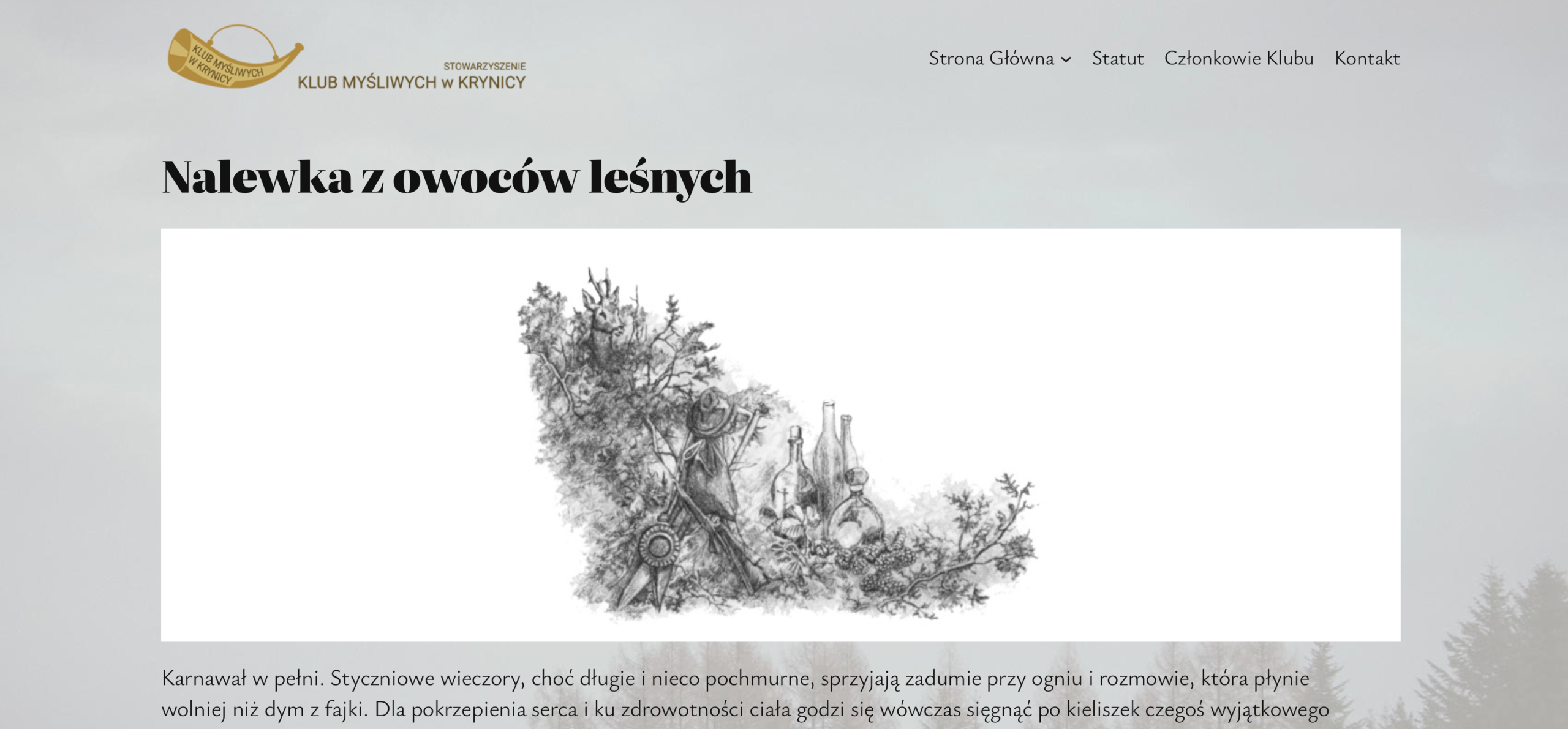proste strony internetowe