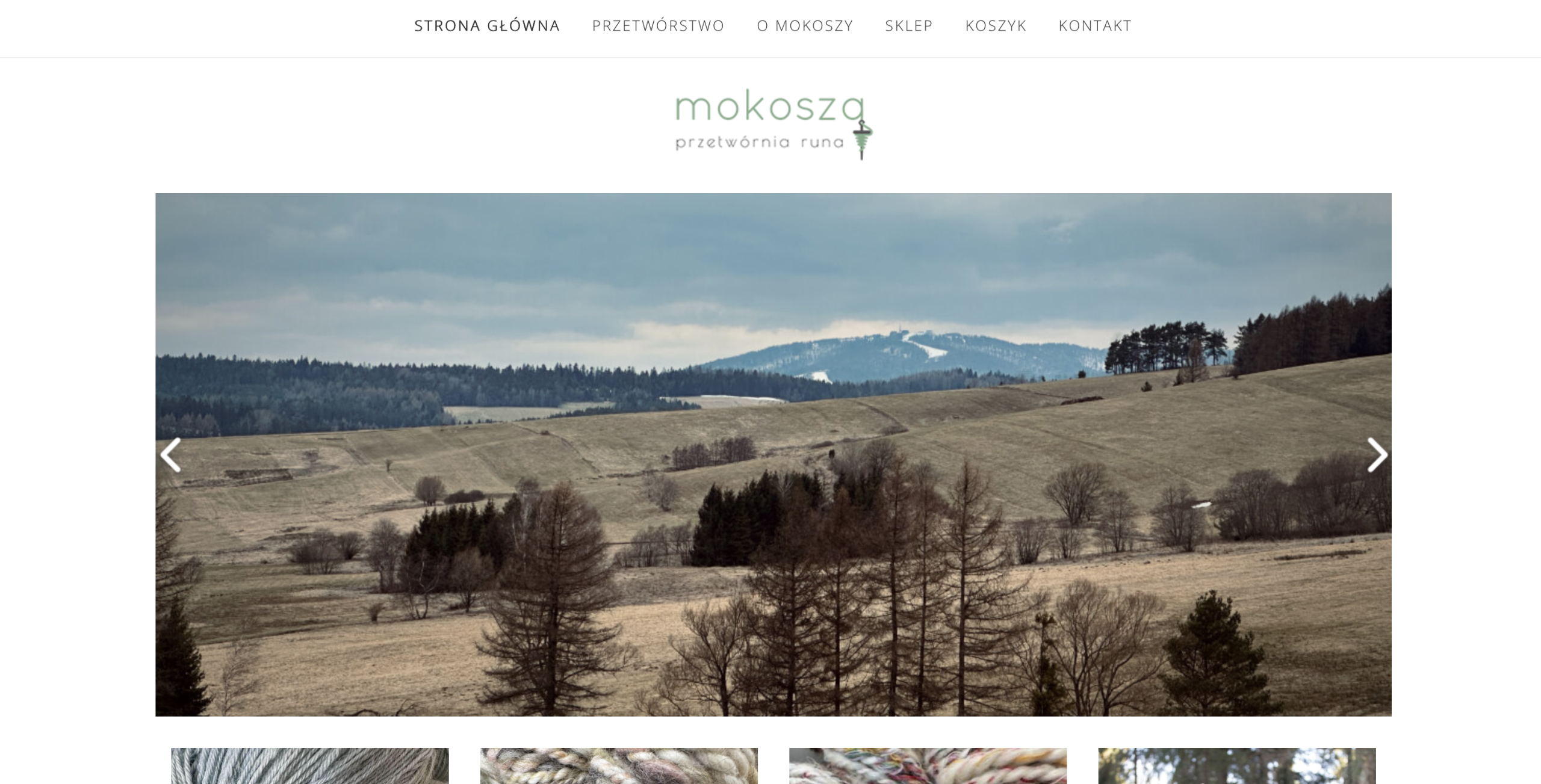 proste strony internetowe
